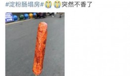 淀粉肠最新爆料,揭秘行业黑幕与食品安全真相