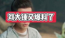 刘大锤最新爆料王奕是谁,王奕身份之谜，真相即将揭晓！